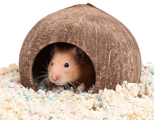 Maison De Cachette en Coquille De Noix De Coco pour Hamster, Ermite, Crabes,Cochon d'Inde, Décoration De Cage D'habitat Naturel, Maison De Cachette pour Petits Animaux (Tente)