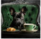 Glasbild Frenchie 30 x 30 cm I HUNDEPORTRAIT MIT KAFFEE I Bild mit Bulldogge, Kaffee & Croissant I Wandbild für Küche & Café I Tiermotiv Bully Deko I Wanddekoration Hund schwarz I moderne Küchenbilder
