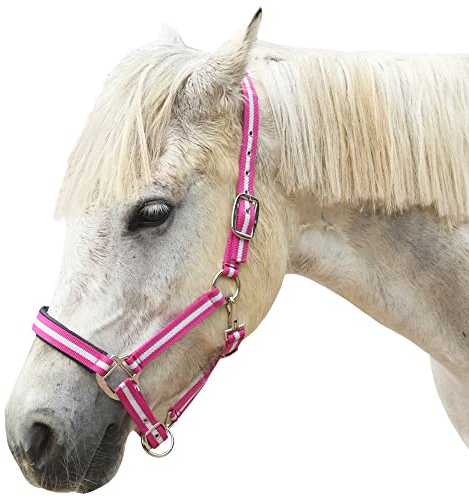 Verdicktes Reithalfter für Pferde, verstellbar, Sicherheitshalfter, Halfter, Halfter, Halfter, Rennsportausrüstung, Trainingsseil (Pony, Violett)