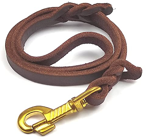 Qianruida Peau de Grand Laisse pour Chien Tressée en Cuir Corde Chien Laisse de Dressage - 76cm (Brun)
