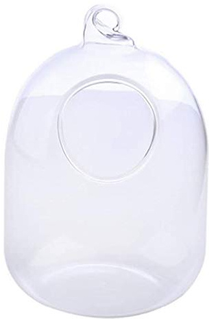 Lerpwige Hängender transparenter Glasfisch zum Aufhängen für Aquarium, Blumenvase, Blumenvase für Heimdekoration, Lippenbalsam, rosige Lippen