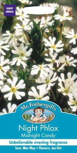 Mr Fothergill?s Seeds Ltd 16240 Night Phlox Midnight Candy, White, Sow: Mar to May