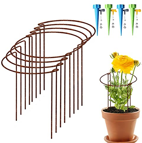 KAZITOO 8 Stück 35cm rostige Bogen-Pflanzenstützpfähle, natürliche Rost Halbrunde Blume Unterstützung mit 4 Selbst Bewässerung Spikes, rostige Vernetzung Garten Grenze für Pfingstrosen Hortensie