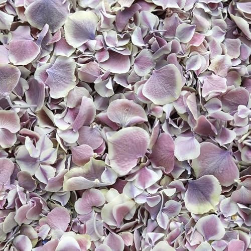 Petals and Roses - Flower Girl Basket - Hydrangea Petals, Natural Biodegradable Confetti For Weddings (Violet White)
