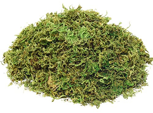 Fake Moss Artificial Moss for Potted Plants Greenery Moss(4OZ) Home Decor Fairy Garden Crafts Wedding Decoration (Fresh Green)