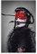 Shenywell Wanddeko Poster Bjork ArtVintage Retro Dekorative Malerei für Zuhause Schlafzimmer Wohnzimmer Dekor 50x70cm Kein Rahmen