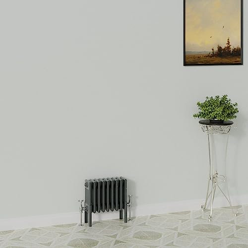 WarmeHaus Radiatore tradizionale, 300 x 425 mm, antracite, orizzontale, 4 colonne, in ghisa, riscaldamento centralizzato