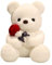 wiztex Teeddy Bear Plüschtier 23 cm - Rote Rose Stoff Teedd Kuscheltier - Schwarze Knopfaugen Teddybär - Lächelnd Teddybär Klein Geschenk für Kinder und Erwachsene (Weiß)