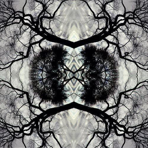 Sonic Mandala Go: Organic Orchestra