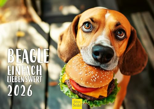 Edition Seidel Premium Kalender Beagle 2026 Format DIN A3 Wandkalender Hundekalender Hund Welpe Tierkinder Hunderasse Haustier