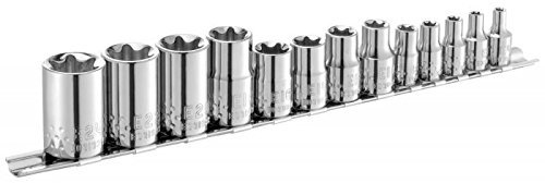 Britool Expert by Facom 13pc 1/4 3/8 1/2 Torx Socket Set with Rail E034801