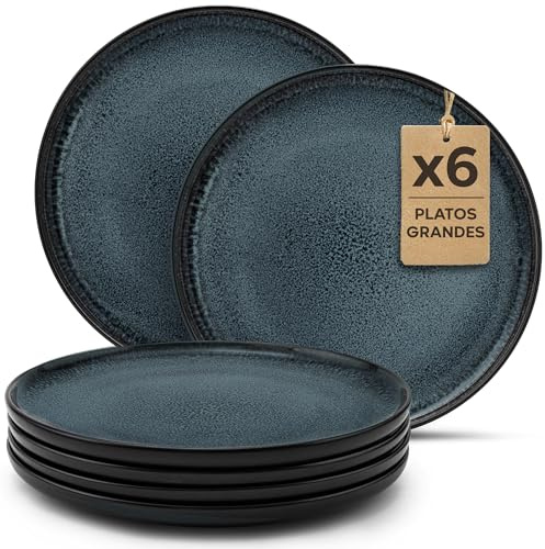 Twinzee 6 Grandes Assiette Granite - Compatible Micro-onde - Assiettes Service de Table Riviera Collection