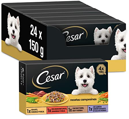 Cesar Nassfutter für Hunde, Auswahl bäuerliche Rezepte in Sauce, Multipack (6 x 4 Becher x 150 g)