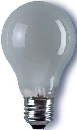 Spezial-Allgebrauchslampe, E27/100W, RADIUM