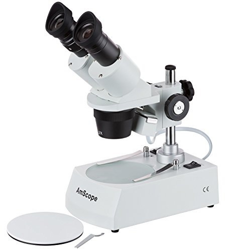 AmScope Microscopio estéreo Binocular para Estudiantes SE306R-P20 40X-80X con Luces duales