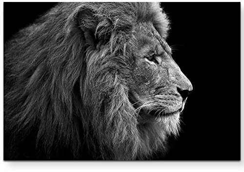 Paul Sinus Art Leinwandbilder | Bilder Leinwand 120x80cm Portrait Löwe schwarz/weiß