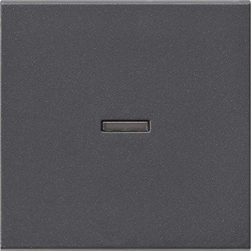 GIRA Anthrazit (0290 28) Wippe Kontroll anthrazit System 55