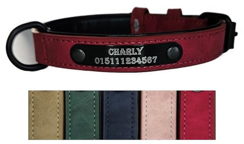 Jacks O Be Hundehalsband Halsband Name Gravur personalisiert Haustier Hund Katze Leder (Rot, XXL)