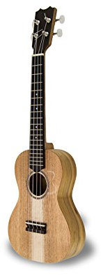 APC Instruments CS