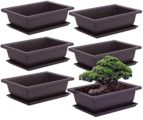 FXLTSBL 6 Stück Bonsai-Trainingstöpfe mit Tablett Rechteck Blumentopf Bonsai Schale Sukkulenten Klein Pflanztopf für Garten Wohnzimmer und Büro (L)