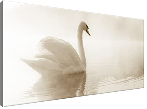 Estika Leinwand bilder - Weißer Schwan auf dem See - 115x55 cm, 1 teilige kunstdruck - Wandbilder wohnzimmer, schlafzimmer, Moderne wanddeko, Bild auf leinwand - Tiere bilder - 1280A_1AE