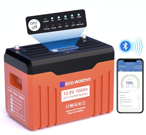 ECO-WORTHY Bluetooth Batterie Lithium 12V 100AH Batterie Lifepo4 avec Protection Basse température et 100A BMS,1280Wh Batterie pour Camping-Car, Panneau Solaire, Kit Solaire, Bateau, Moteur Trolling