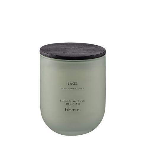 blomus Duftkerze -TUOKSU- | Farbe Desert Sage | Größe L | Duft Sage | Aus Glas und MDF; Für eine angenehme Duftatmosphäre; Ø 9,5 x H 11,7 cm