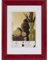 Henzo Rahmen 13x18 ARTOS rot Bilderrahmen, Holz, Bildformat 13x18 cm