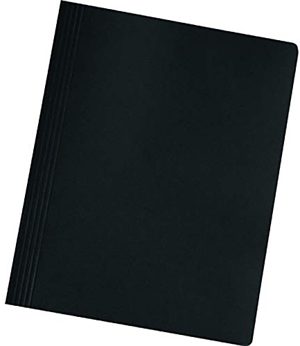 Herlitz 10902583 Schnellhefter easyorga, A4, Colorspankarton Orange