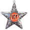 Boelter NFL Cincinnati Bengals Silber Stern Weihnachtsornament