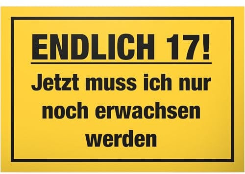 DankeDir! Endlich Siebzehn - 30 x 20 cm Schild - Jungen & Mädchen Geburtstagsgeschenk Geschenk 17. Geburtstag 17 Jahre 17er - Geburtstagskarte Partydeko Geschenkidee Geburtstagsdeko