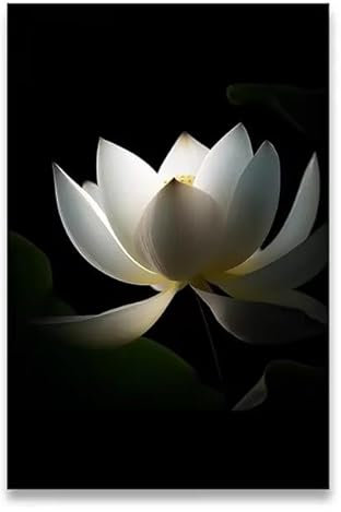 JIANGSHANDAIYOUCAIREN Vintage White Lotus Wall Art Poster Wohnzimmer Schlafzimmer Dekoration Malerei Kein Rahmen-B_40x50cm