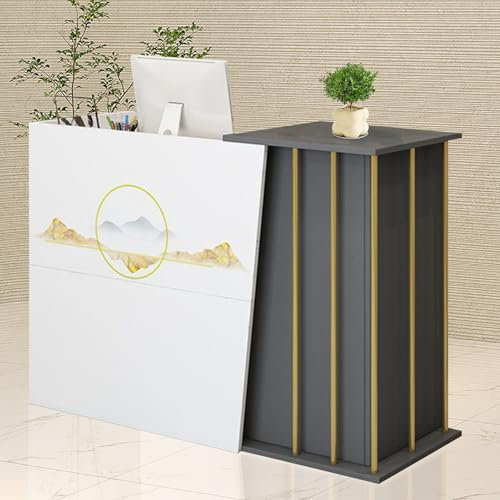 GAOXIAO Empfangstheke Empfangstresen mit Schreibtisch Rezeptionstheken Laden-Theke Verkaufstheke Verkaufstisch, Kassentheke Bürotheke Reception Tisch mit 2 Schubladen und 1 Schrank C 100 cm