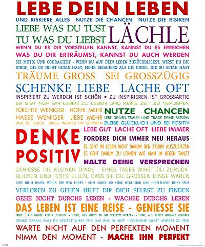 empireposter Motivational - Lebe Dein Leben Bunt Motivations Mini Poster Plakat Druck - Grösse 40x50 cm + 2 St Posterleisten Holz 40,5 cm