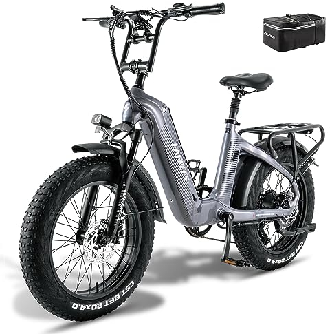 Fafrees F20 Master ebike 20 * 4.0 Zoll, Elektrofahrräder 48V 22.5Ah Akku, Carbonfaserrahmen e Bike Herren Damen 60N.m Motor, Pedelec Fahrradlast 150KG, grau