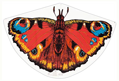 Günther Flugspiele 1103 - Einleiner-Drachen Pfauenauge, ca. 92 x 62 cm, Kinderdrachen aus robuster PE-Folie, für Kinder ab 4 Jahren, inkl. Griff und Drachenschnur