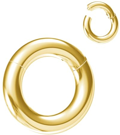 NewkeepsR 316L Edelstahl Hinged Segmentring Augenbraue Conch Daith Helix Lippe Nase Ohr Rook Septum Clicker Ringe