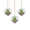 Lot de 3 pots de fleurs en verre à suspendre en forme d'oignon avec grande ouverture pour plantes aériennes - 8 cm