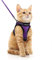 rabbitgoo Katzengeschirr Katzenleine Set Katzengeschirr mit Leine Geschirr Katzen ausbruchsicher verstellbar weich mit reflektierenden Streifen für Katzen Kitten Welpen Cat Harness Leash Lila M