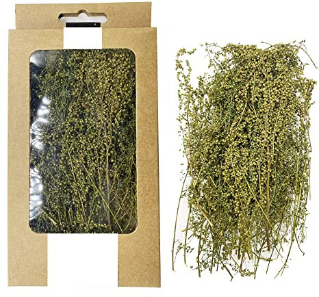 Cayway Miniature Shrubs Model Bushes Long Shrub Vegetation Groups Static Grass Tuft for DIY Model Train Landscape Railroad Scenery, Green