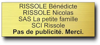 Plaque Boite aux Lettres Personnalisable - 12x5 cm - 1 à 6 Lignes - Etiquette Boite aux Lettres - Sonnette - Porte - Autocollant - Plaques avec Nom - Gravée (Or Brillant)