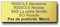 Plaque Boite aux Lettres Personnalisable - 12x5 cm - 1 à 6 Lignes - Etiquette Boite aux Lettres - Sonnette - Porte - Autocollant - Plaques avec Nom - Gravée (Or Brillant)