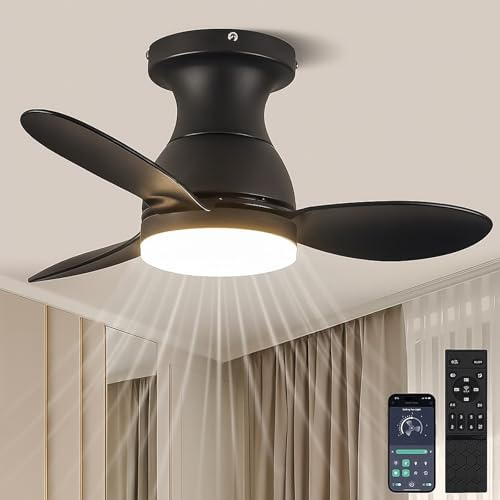 LEONTYNE 58 cm Ceiling Fans with Lights and Remote, Metal LED Ceiling Fan, Dimmable 3 Color, 6-Speed Quiet Reversible DC Motor,Flush Mount Ceiling Fan with Light for Bedroom Kitchen Small Spaces