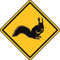 U24 Aufkleber Vorsicht Eichhörnchen 20 x 20 cm Autoaufkleber Sticker