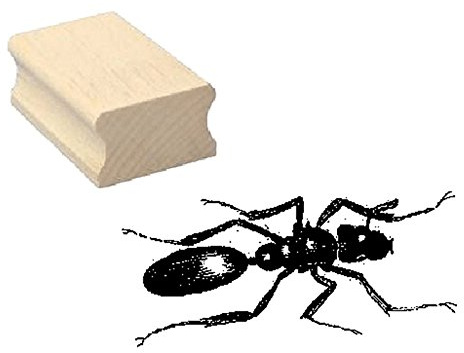 Stempel AMEISE - Motivstempel aus Buchenholz