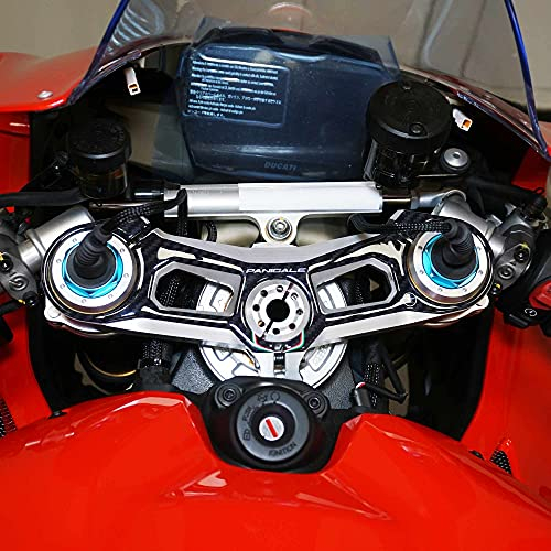 labelbike - 3D Aufkleber Gabel Lenkplatte kompatibel mit Ducati Panigale V4 2018-2021