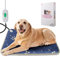 SXCDD Hundebett Kleine Orthese für Hunde Waschbar Hundematte Ergonomische Hundekorb rutschfeste Hundematte Hundesofa Hellblau 60CM*50CM