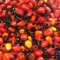SBS Baits 5kg Red One Partikelmix - Eingelegter Mais, Tigernüsse und Hanf in SBS Red One Juice Futter Karpfen Köder Angeln