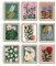 FREEBLOSS 9 Stücke Kunstdruck Poster Bunt Poster Set Böhmische Blumen Wall Art Poster Aesthetic Aesthetic Dekoration Bilder für Schlafzimmer Dekoration 20x25cm