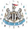 Iconic Puzzles, Newcastle United FC Crest, 100% eco-sustainable wooden puzzle with official license, size L, 500 pieces